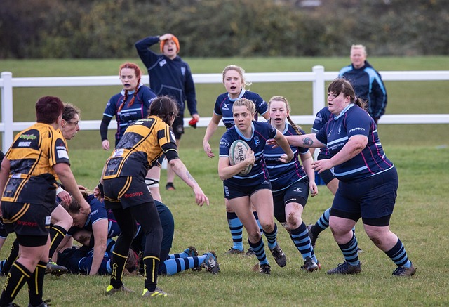 年曾因未能 年曾因未能