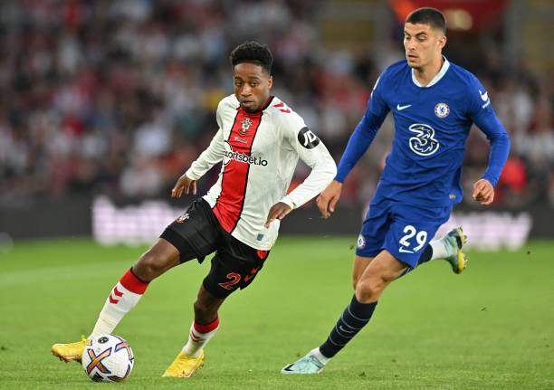 迷们茶余饭 迷们茶余饭