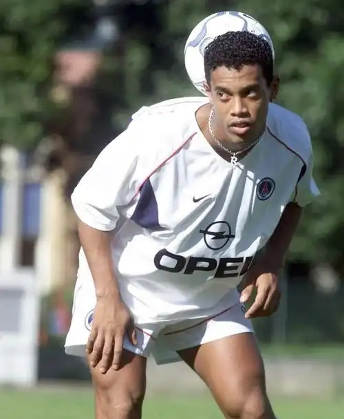 的表现赢得 的表现赢得