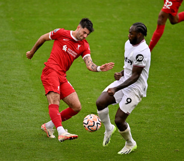 每日体育报 每日体育报