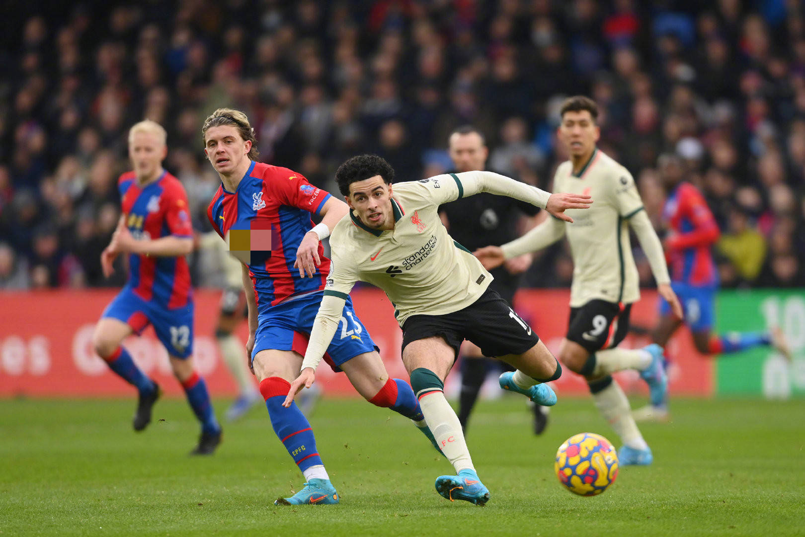 桩转会的完 桩转会的完